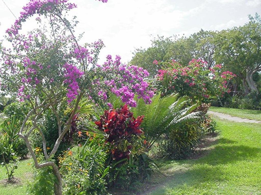 Great Escape And Breakfast Inn Vieques Exterior foto